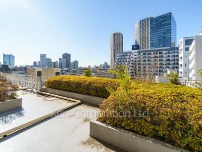 View from the property