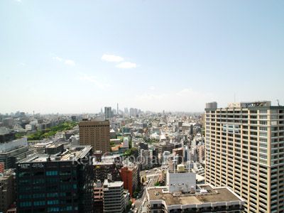 View from the property