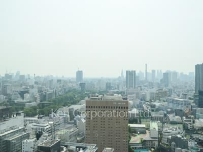 View from the property