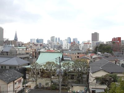 View from the property