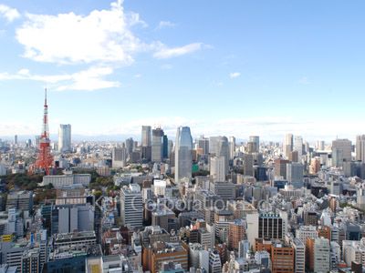 View from the property