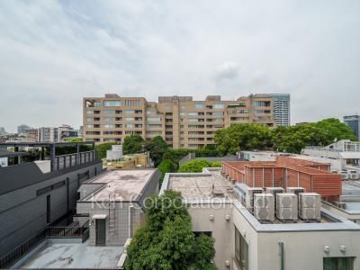 View from the property