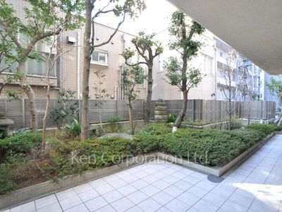 Private yard/Garden