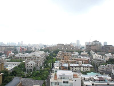 View from the property