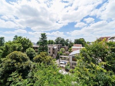 View from the property