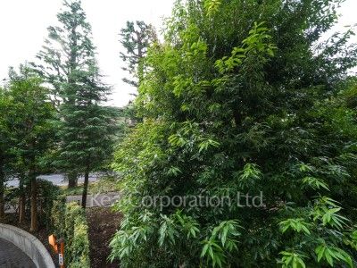 View from the property