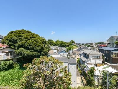View from the property