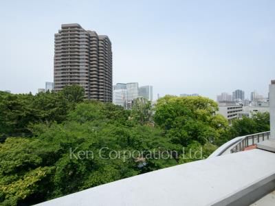 View from the property