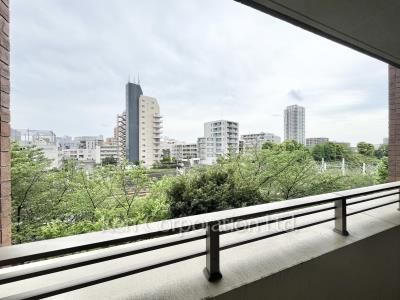 View from the property