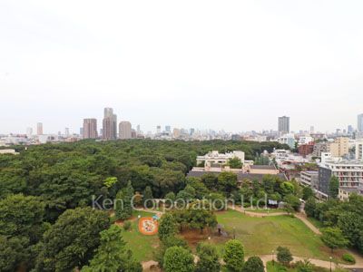 View from the property