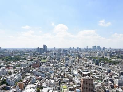 View from the property