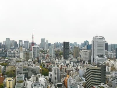 View from the property