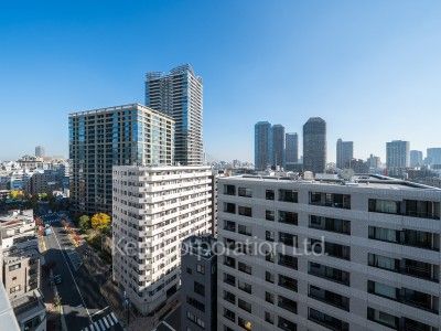 View from the property