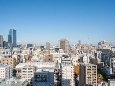 View from the property