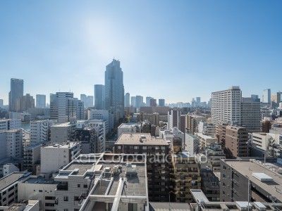 View from the property