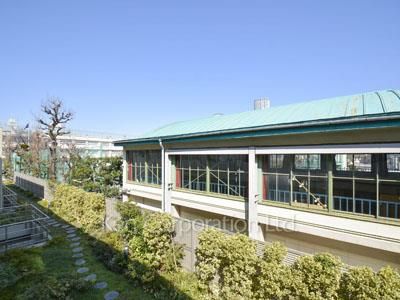 View from the property