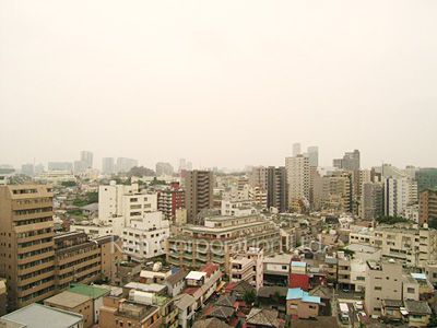 View from the property
