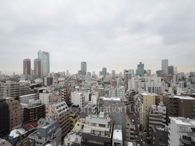 View from the property