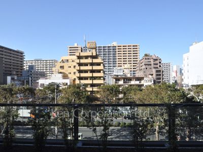 View from the property