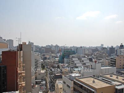 View from the property