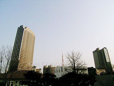 View from the property