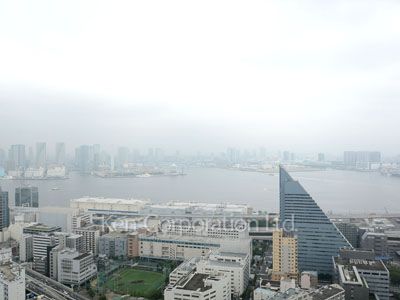 View from the property