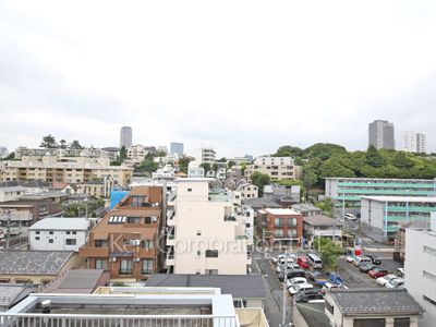 View from the property