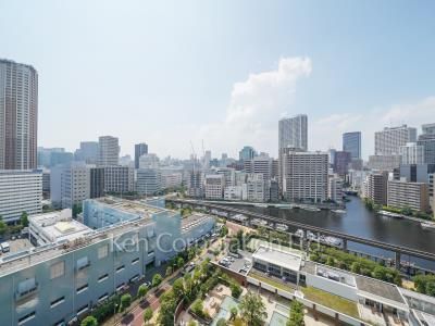 View from the property