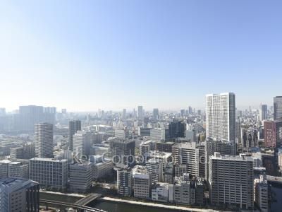 View from the property