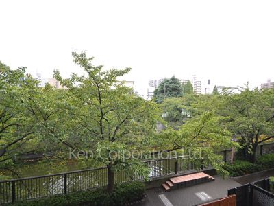 View from the property