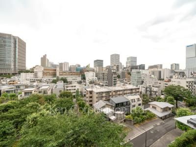 View from the property