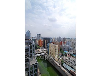 View from the property
