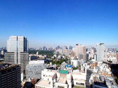 View from the property