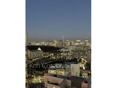 View from the property