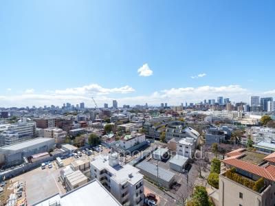View from the property
