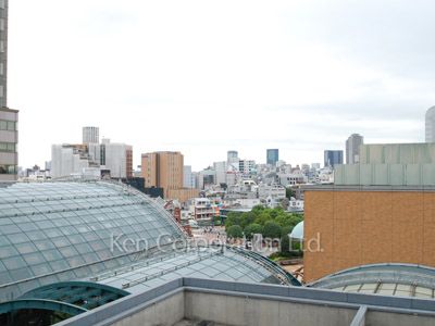 View from the property