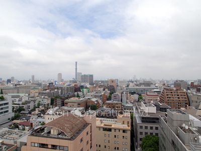 View from the property