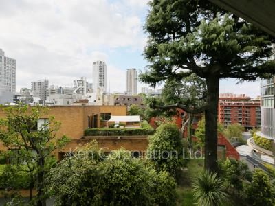 View from the property