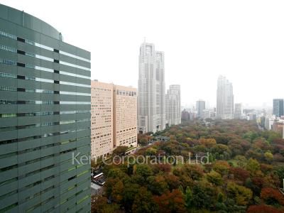 View from the property