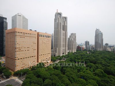 View from the property