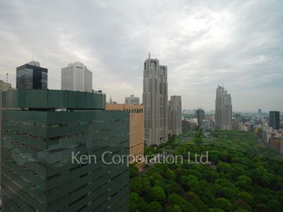 View from the property