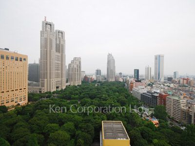 View from the property