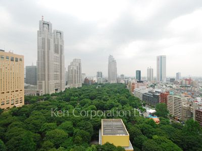 View from the property