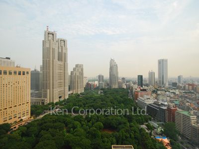 View from the property