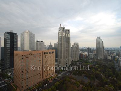 View from the property