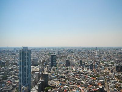 View from the property