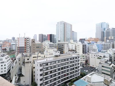 View from the property