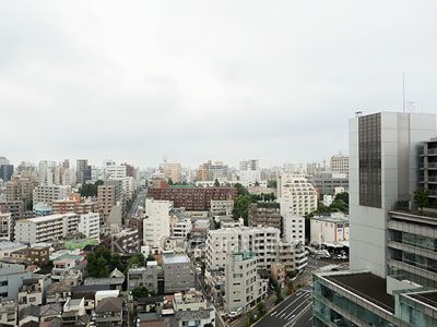 View from the property