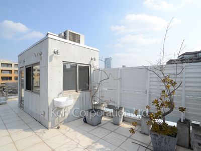 Roof Balcony
