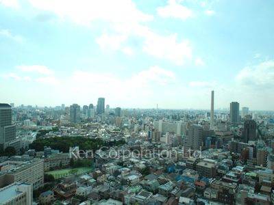 View from the property